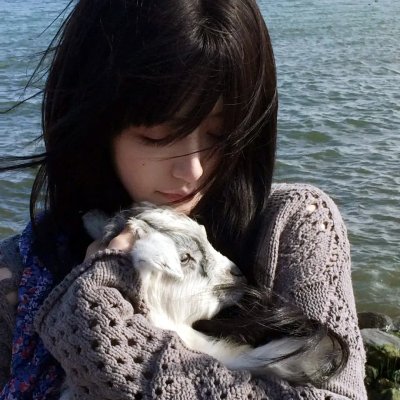 再见记忆里的家园海报
